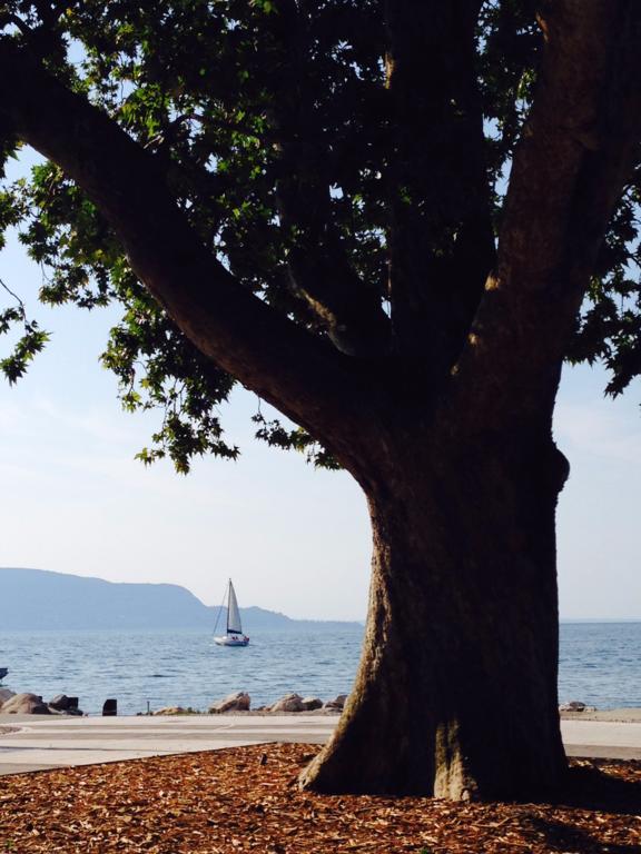 Ca' Dei Gatti Villa Toscolano Maderno Luaran gambar